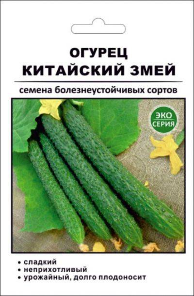 Огурец "китайский змеи": описание сорта, фото, отзывы