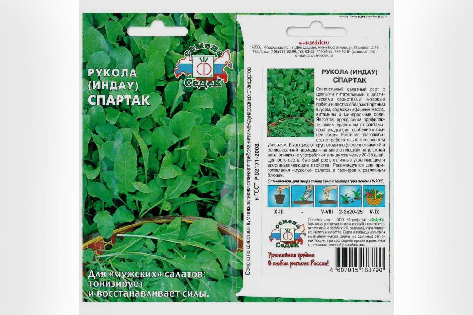 Руккола: чем полезна, посадка и уход в открытом грунте, выращивание в домашних условиях