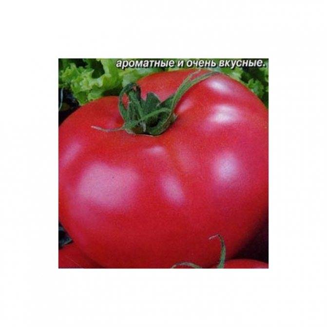 Томат торбей f1: отзывы тех кто сажал помидоры об их урожайности, характеристика и описание розового сорта семян, фото куста в высоту