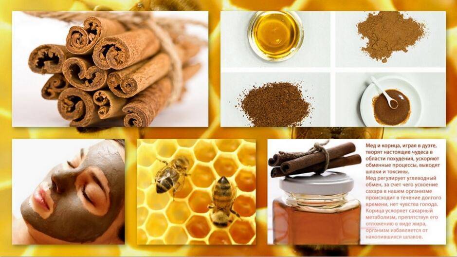 Успешное партнерство: 5 полезных свойств корицы с медом