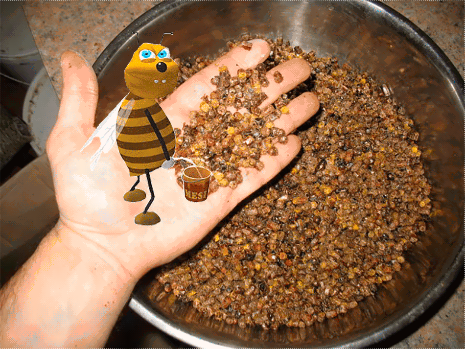 ✅ пчелиный помёт: как называется и выглядит, применение, чем полезен - tehnoyug.com