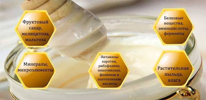 Бархатный мед: состав и полезные свойства царского продукта, противопоказания