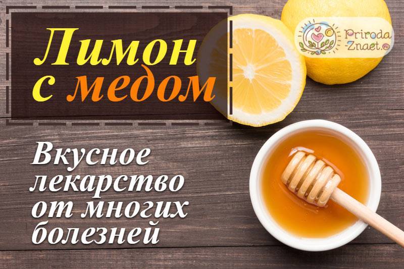 Чай с медом и с лимоном: польза и вред, рецепты