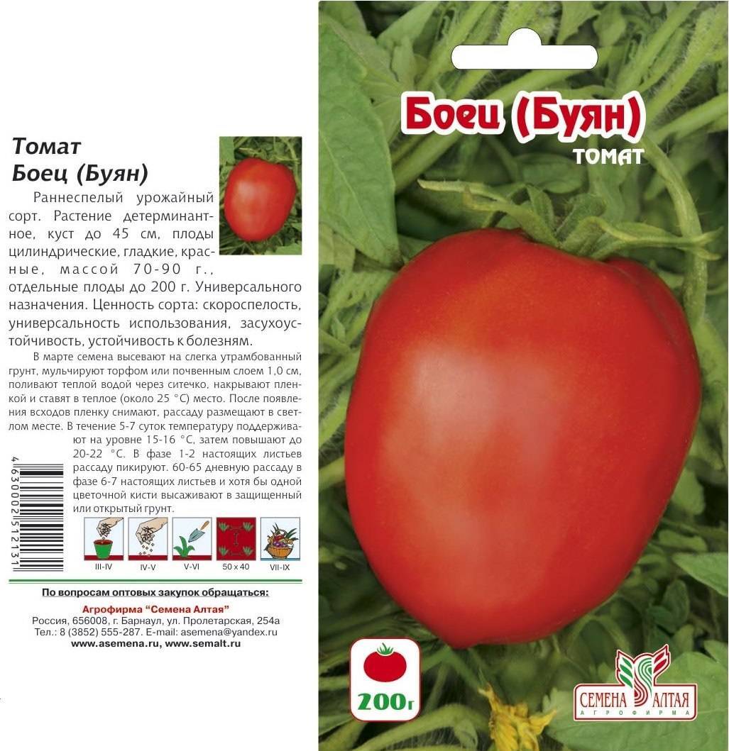 Томат пигмей: характеристика и описание сорта, отзывы тех кто выращивал помидоры на балконе или в комнате об их урожайности, фото семян
