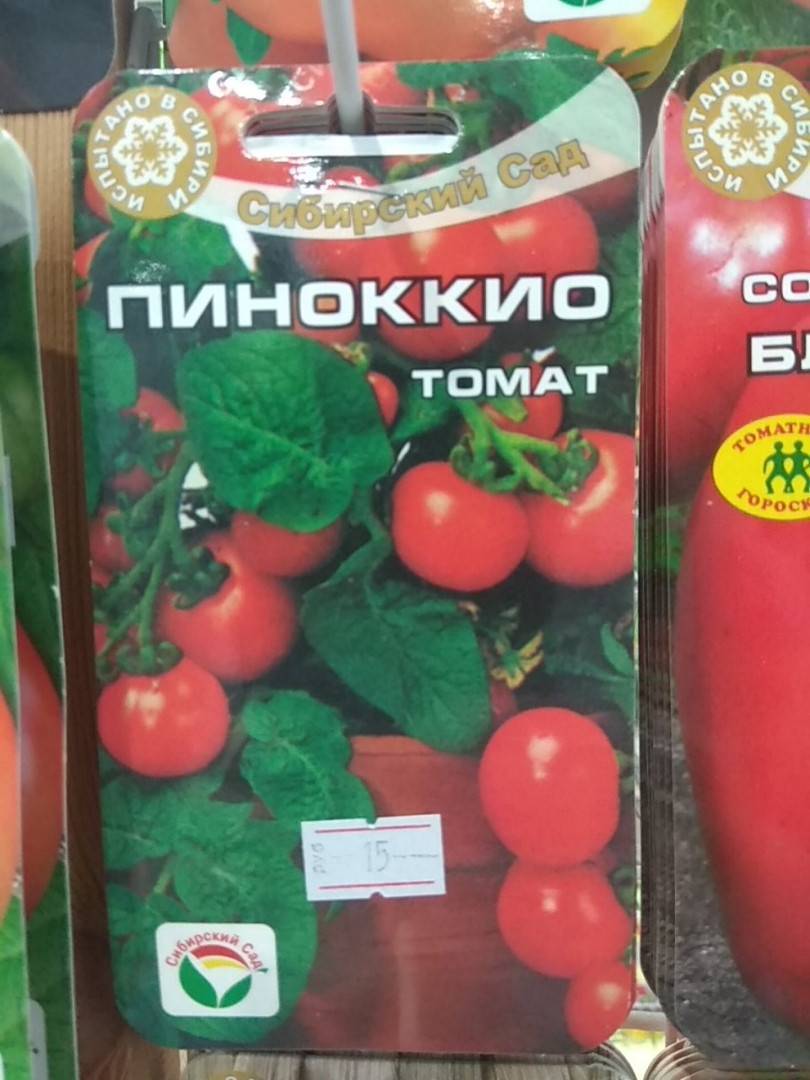 Сорт томатов пиноккио отзывы фото