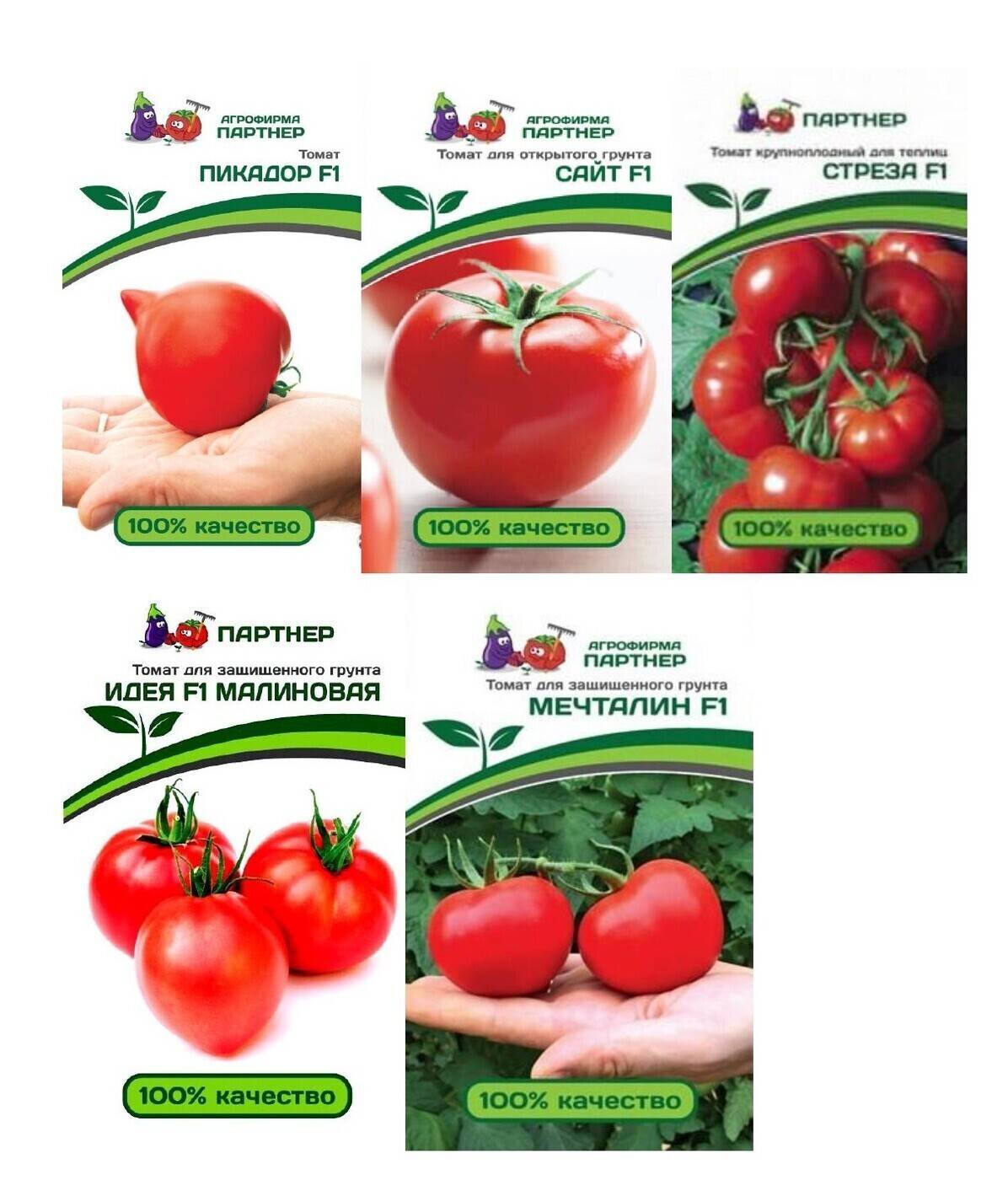 Томат кибо f1 описание сорта помидор, отзывы и фото