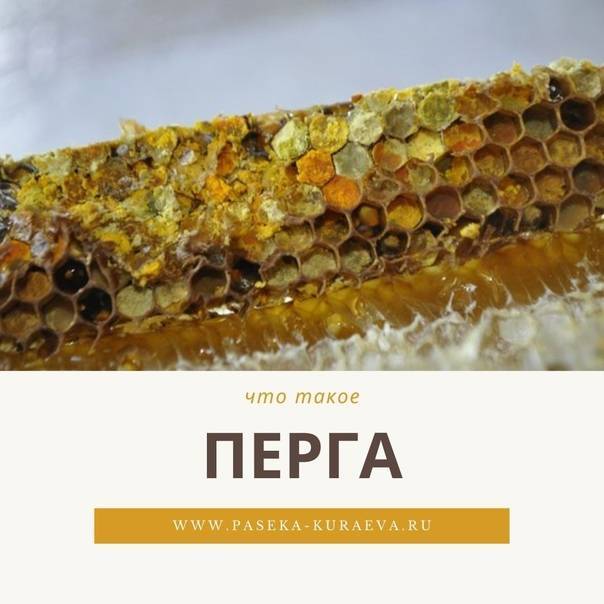 Пчелиные лекарства — прополис и перга. польза и применение. фото — ботаничка.ru