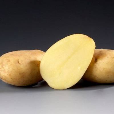 Характеристика, описание, вкусовые качества картофеля “тимо”