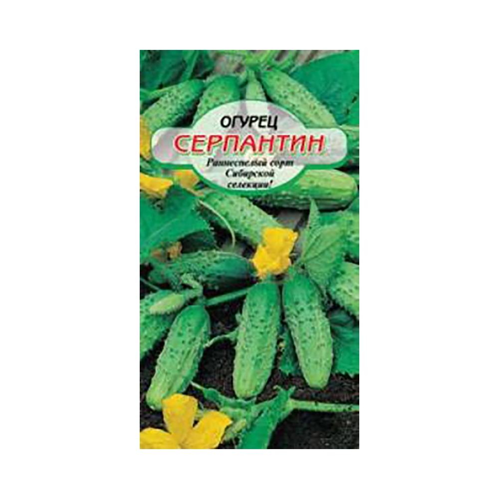 Огурцы серпантин f1: описание и характеристика сорта, отзывы, выращивание и урожайность, фотографии