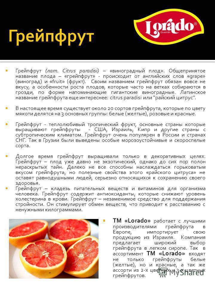 Грейпфрут: польза для организма человека и возможный вред