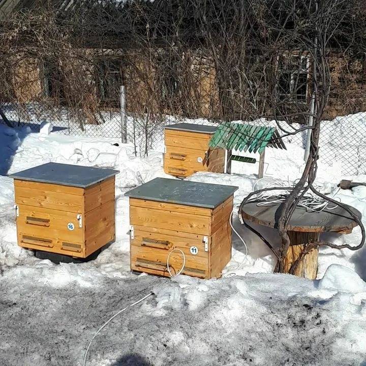 Первые работы пчеловода после выставки пчёл | пчеловодство выходного дня