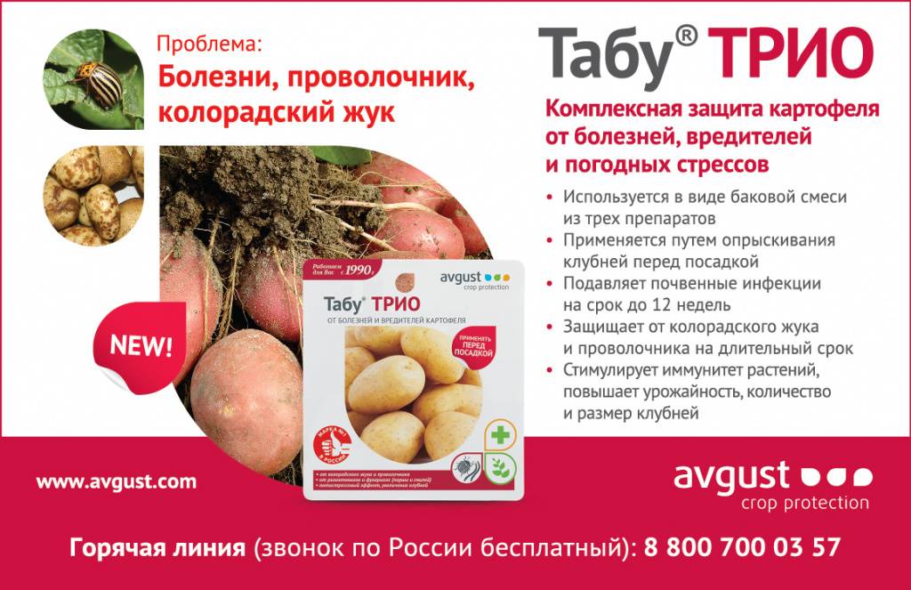 Табу от колорадского жука: инструкция по применению для обработки картофеля, вред, отзывы