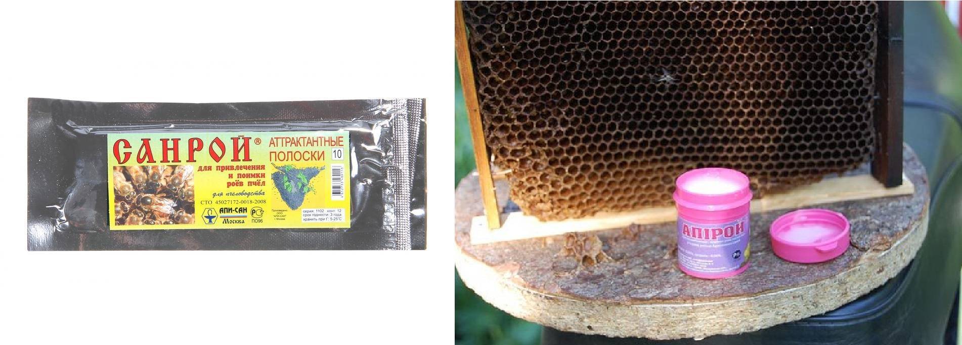 Омшаник для пчел своими руками: что это такое, как построить, пошаговая инструкция - omvesti.com