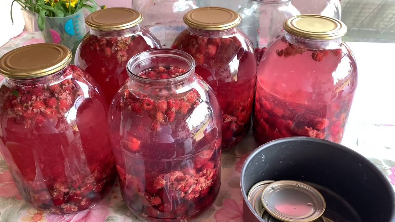 Компот из малины - как сварить из свежих или замороженных ягод по рецептам и законсервировать на зиму