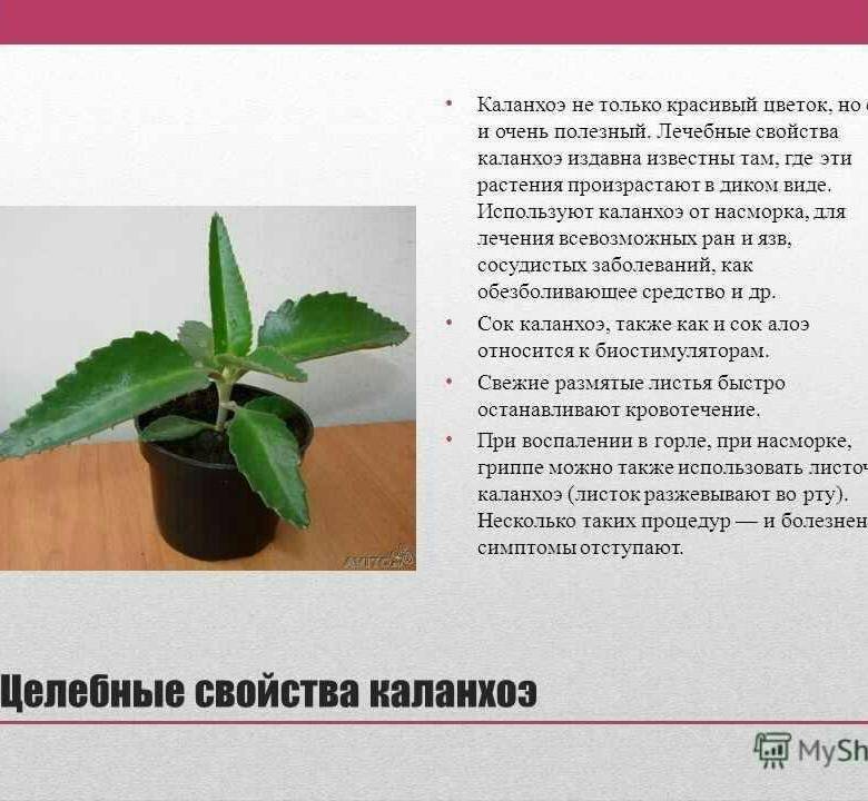 Памятка онкобольным