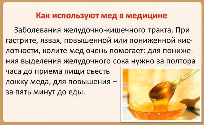 Лечение гастрита медом