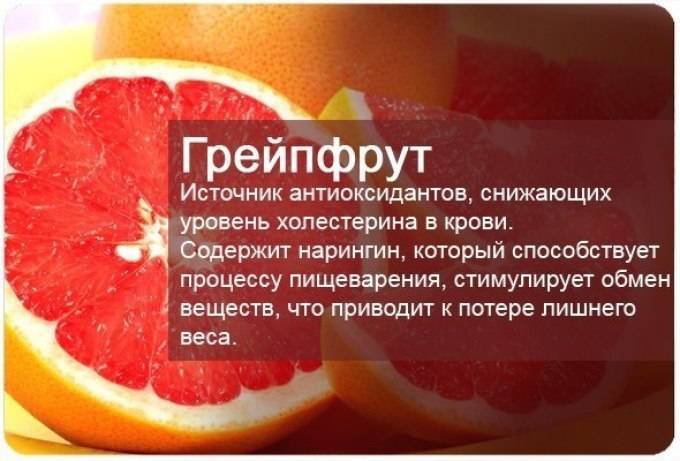 Грейпфрут – польза и вред для организма человека, полезные свойства сока