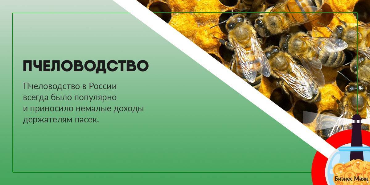 Перспективы развития органического пчеловодства в мире и россии — agroxxi