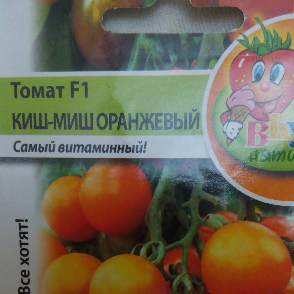 Фото, видео, отзывы, описание, характеристика, урожайность сорта томата «киш миш красный f1».