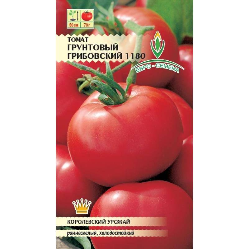 Сорт томатов сибирский скороспелый – описание, урожайность, отзывы и фото