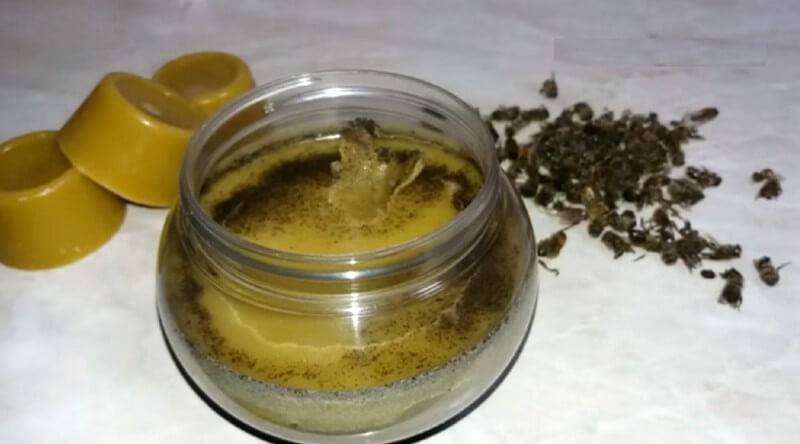 Применение и приготовление мази из пчелиного подмора