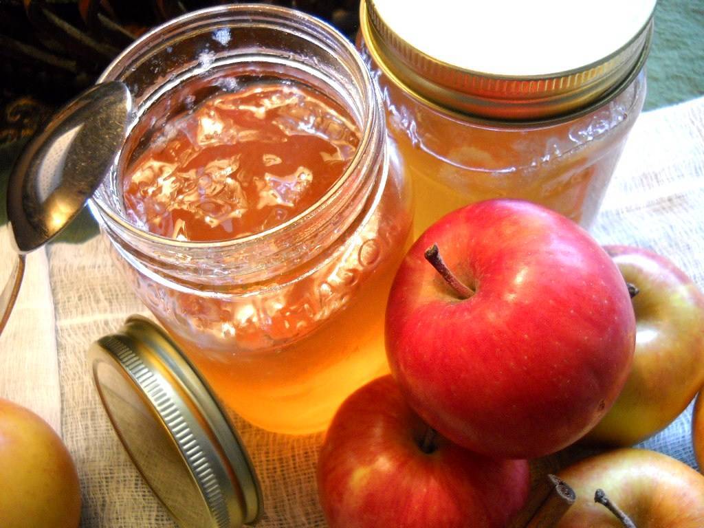 Повидло из яблок в домашних условиях: 8 простых рецептов