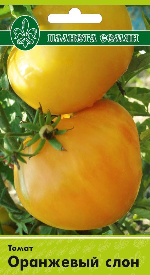 Оранжевый слон: описание сорта томата, характеристики помидоров, посев