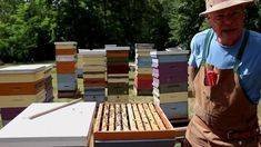 Пчеловодство новые технологии | cельхозпортал