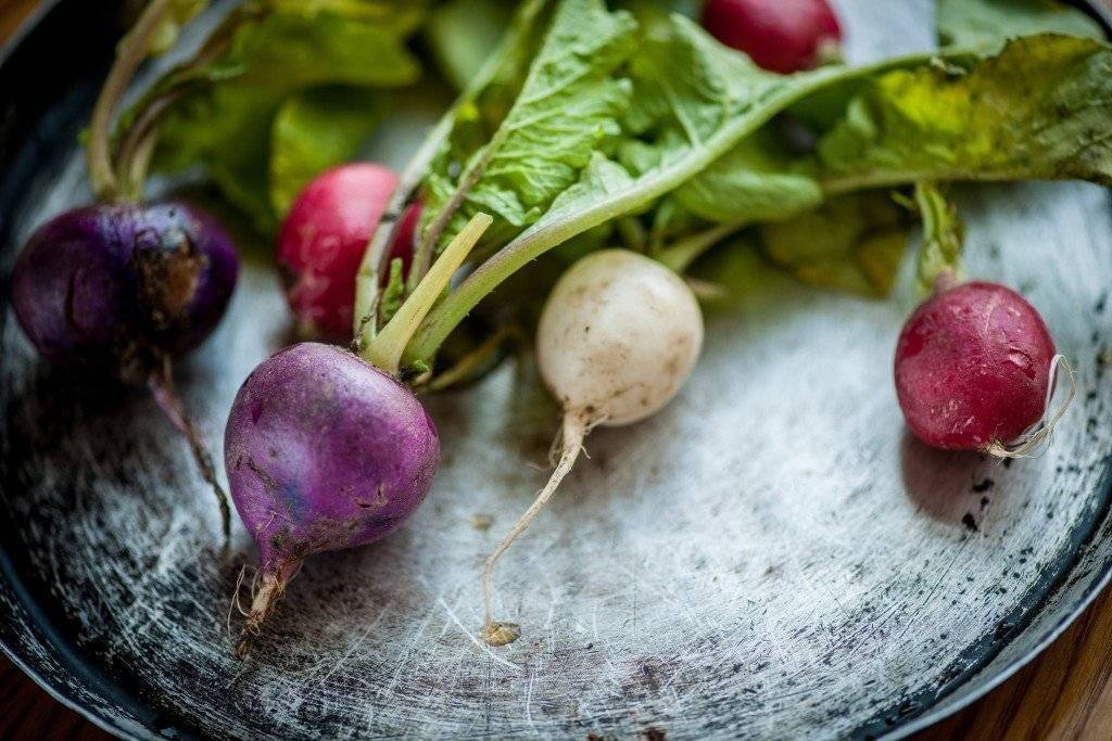 Салат из редьки дайкон – ароматное и сочное блюдо: рецепт с фото и видео