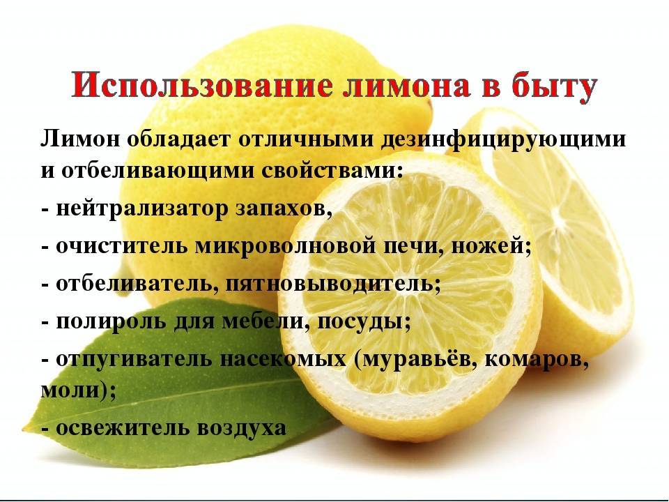 Зачем пить воду с лимоном: можно ли, полезно ли каждый день, как часто и сколько, как правильно приготовить лимонный напиток?