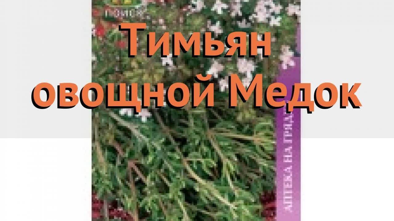 Тимьян овощной медок фото и описание