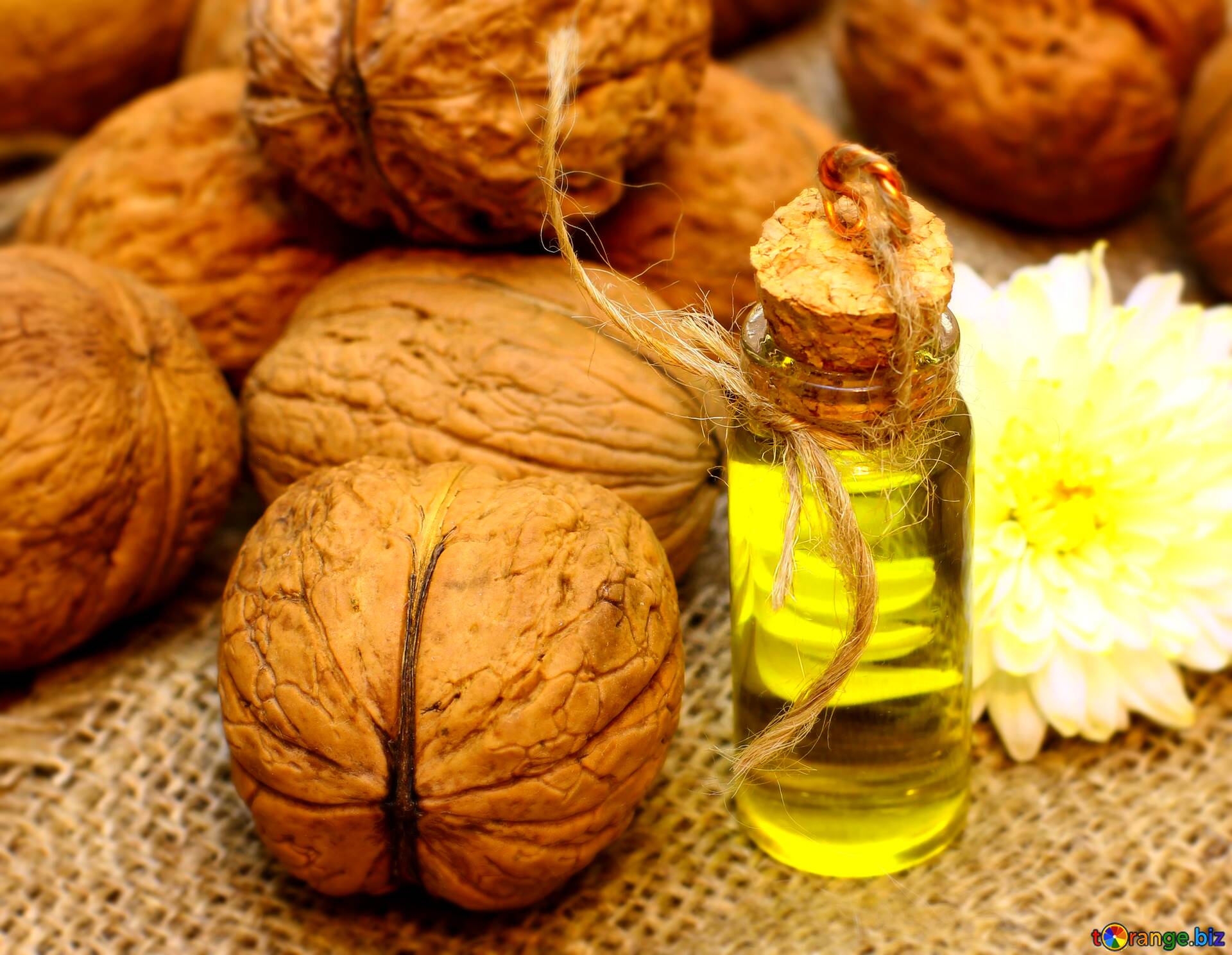 Лист грецкого ореха: пустышка или лекарство? применение листьев грецкого ореха в народной медицине
