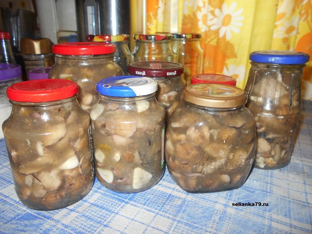 Маринованные грибы на зиму: рецепты с фото простые и вкусные