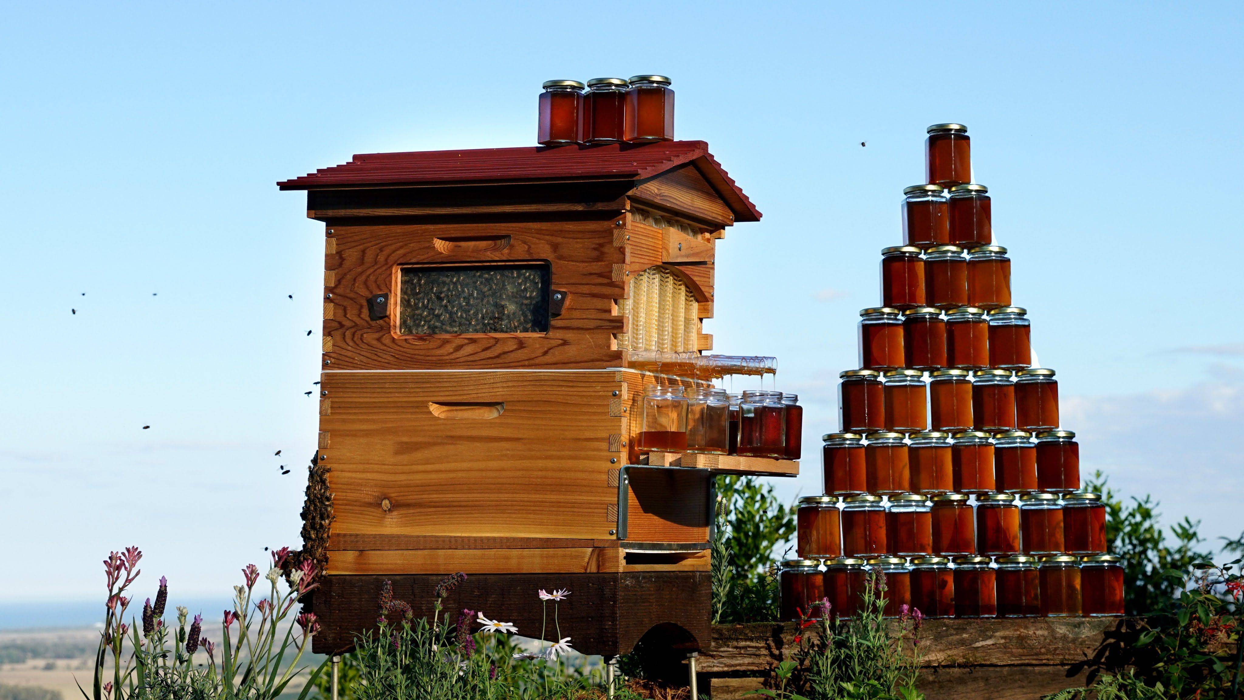 Пасечники из австралии создали автоматический улей. улей, из которого мёд вытекает сам