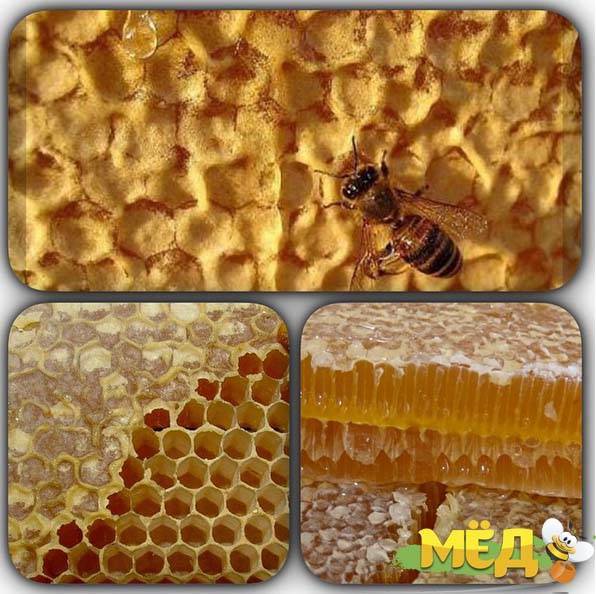 Что такое пчелиный забрус и чем он полезен?