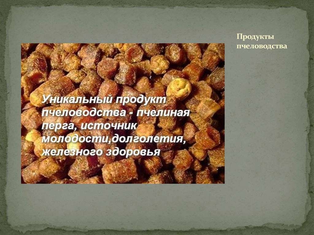 Перга, как принимать, лечение | medbashkir.ru интернет-пасека пчеловодческого хозяйства "саргаев а.а."