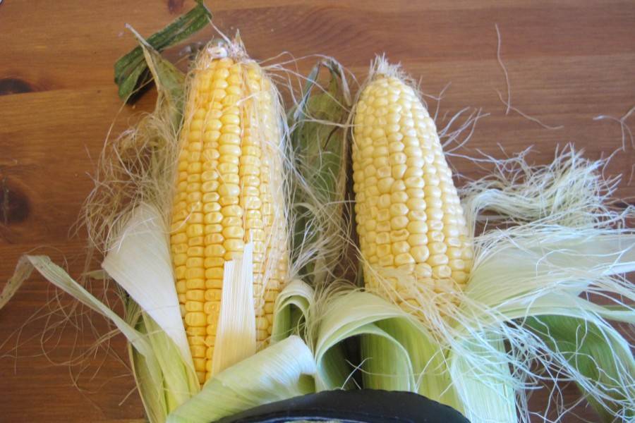 Хранение кукурузы в домашних условиях: где, как и сколько. способы хранения зерен и початков кукурузы в зимний период - автор екатерина данилова