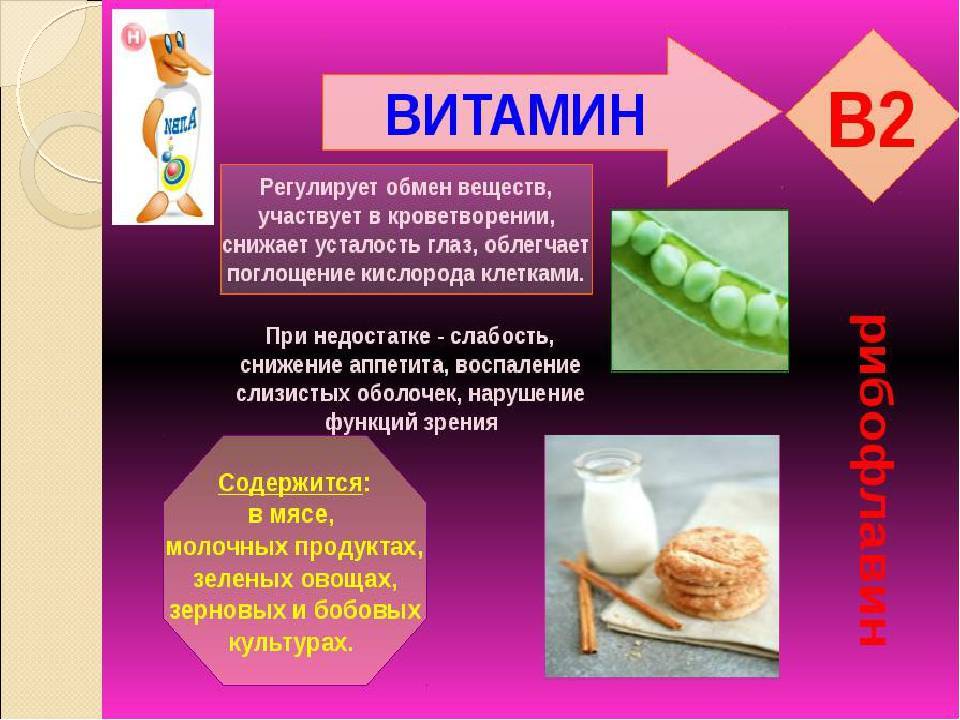 Витамины в меде a, b, c, h, e, k: полный состав и элементы