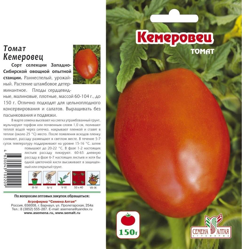 Новые сорта томатов сибирской селекции на 2022 год: наименования и характеристики помидоров, описание, фото