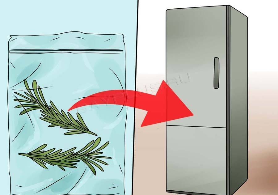 Как хранить свежий розмарин в холодильнике, как сушить и заготовить на зиму