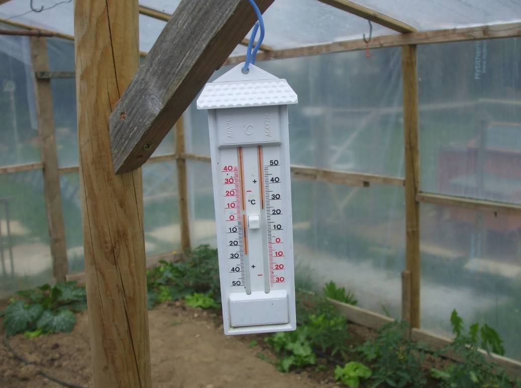 Температура в теплице: для выращивания помидоров, огурцов, смешанных посадок, способы регулировки, как быстро повысить зимой, применение автоматических регуляторов