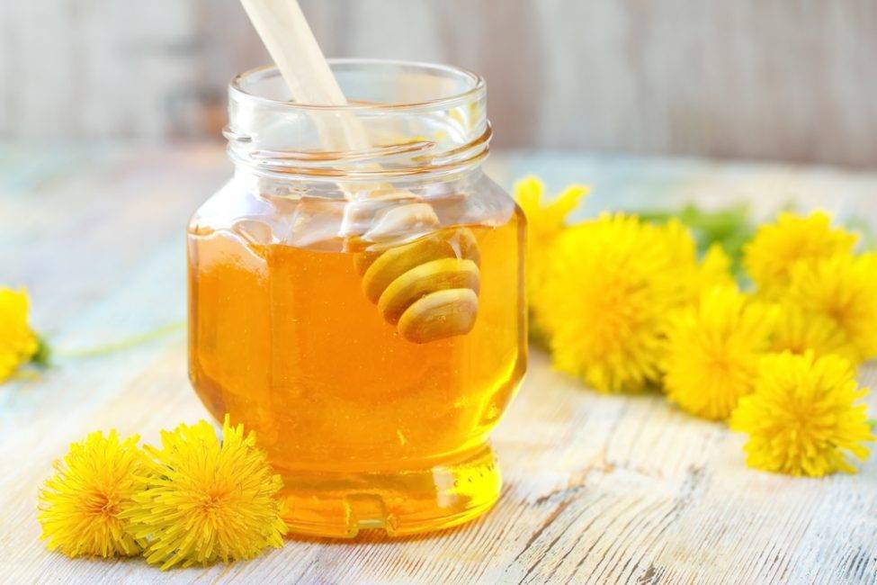 Мёд из одуванчиков: 15 рецептов для приготовления в домашних условиях