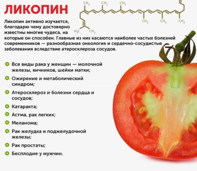 Польза помидоров - 110 фото и варианты применения томатов в рационе питания