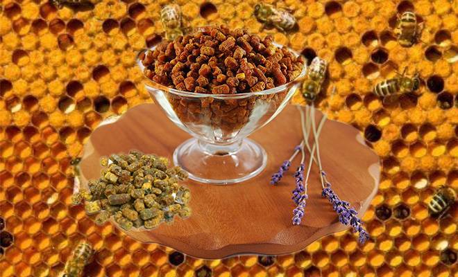 Пчелиная перга – правильное применение и противопоказания