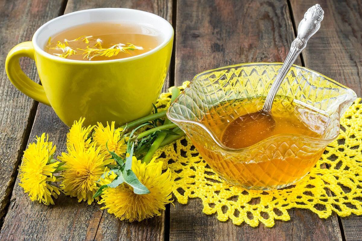 Мед из одуванчиков: польза, вред, вкусные рецепты в домашних условиях