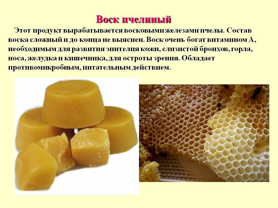 Применение, состав и полезные свойства пчелиного воска