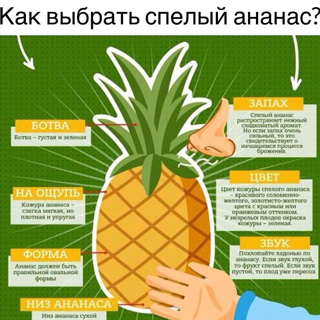 Как выбрать спелый ананас: 5 простых советов