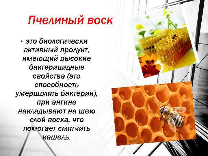 Пчелиный воск: применение в народной медицине. чем полезен пчелиный воск.