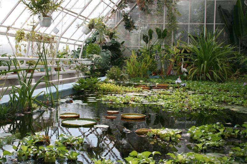 Ботанический сад в Твери: сказочное чудо в стиле русского романтизма