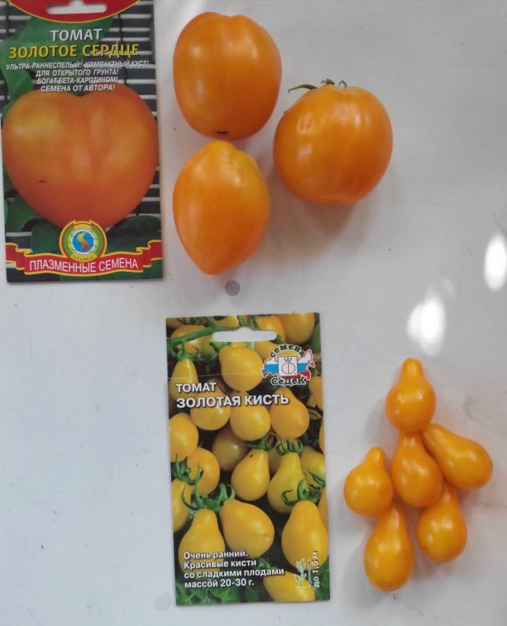 ᐉ томат золотая канарейка описание сорта фото отзывы - zooshop-76.ru